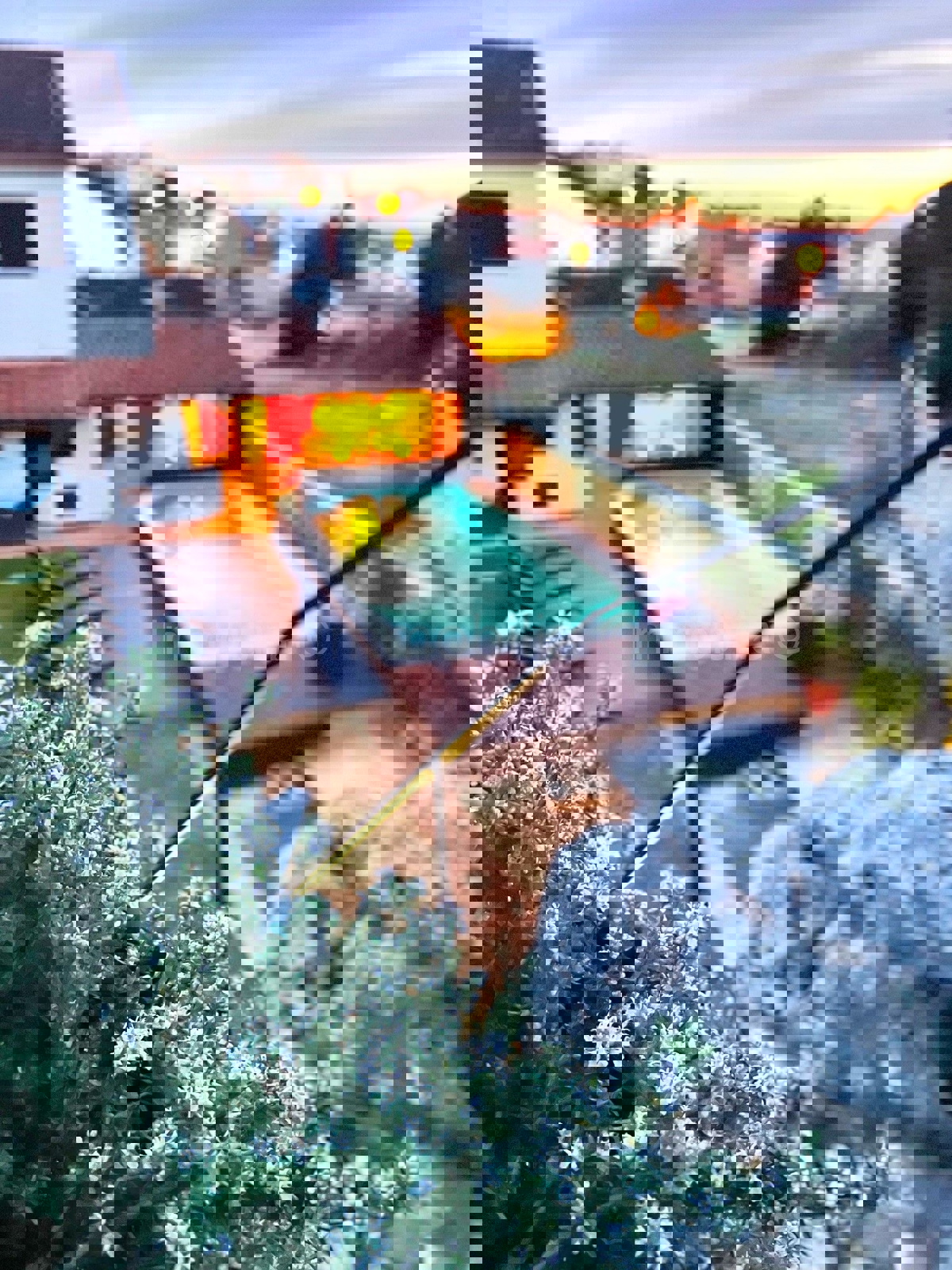 PJEŠČANA UVALA