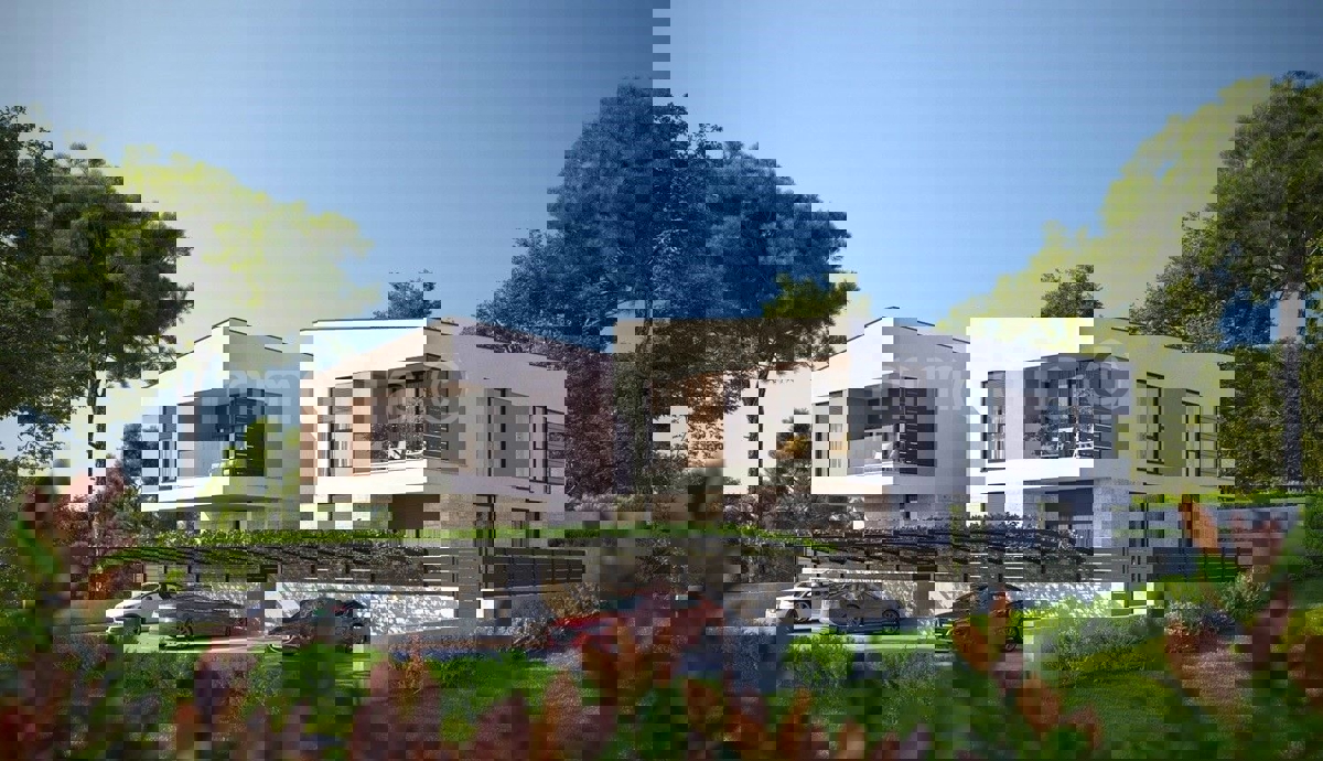 BANJOLE