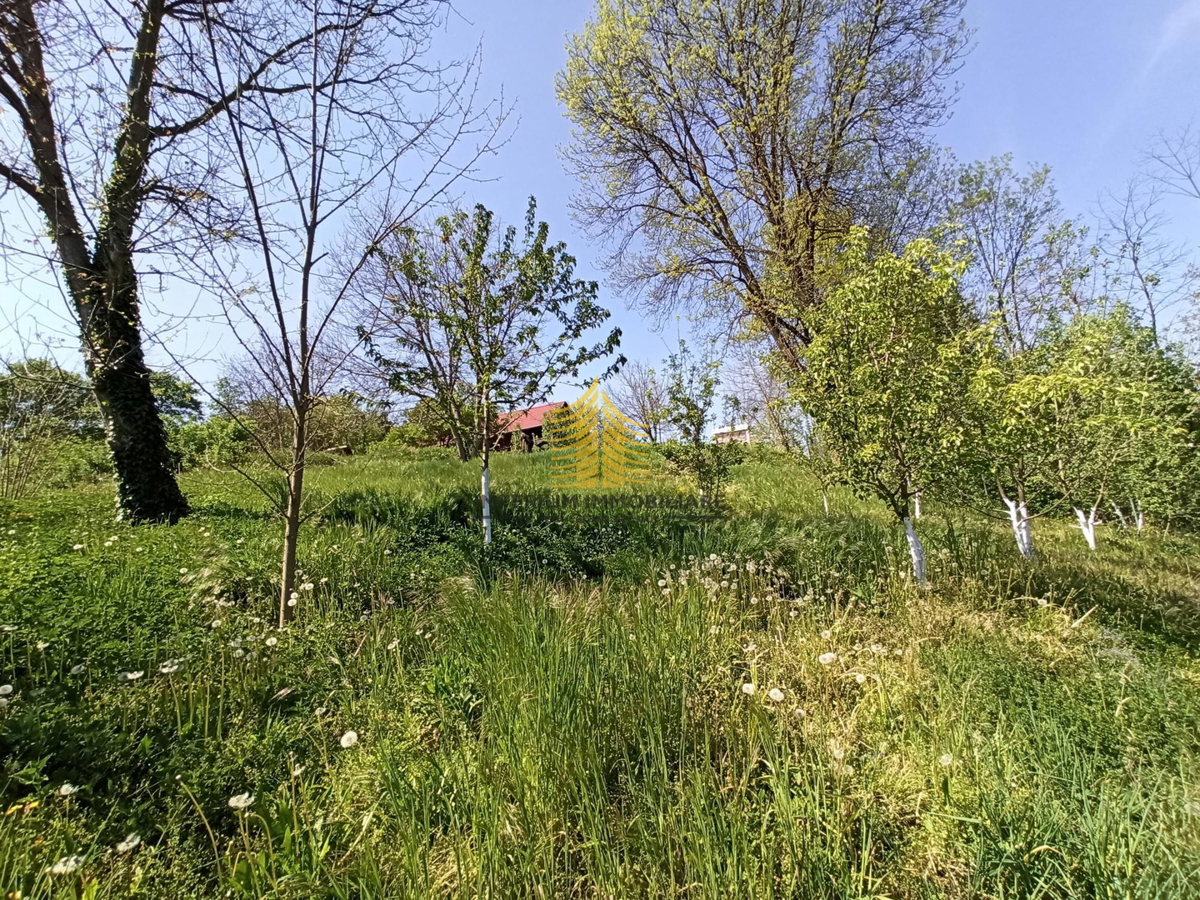 KUPLJENOVO