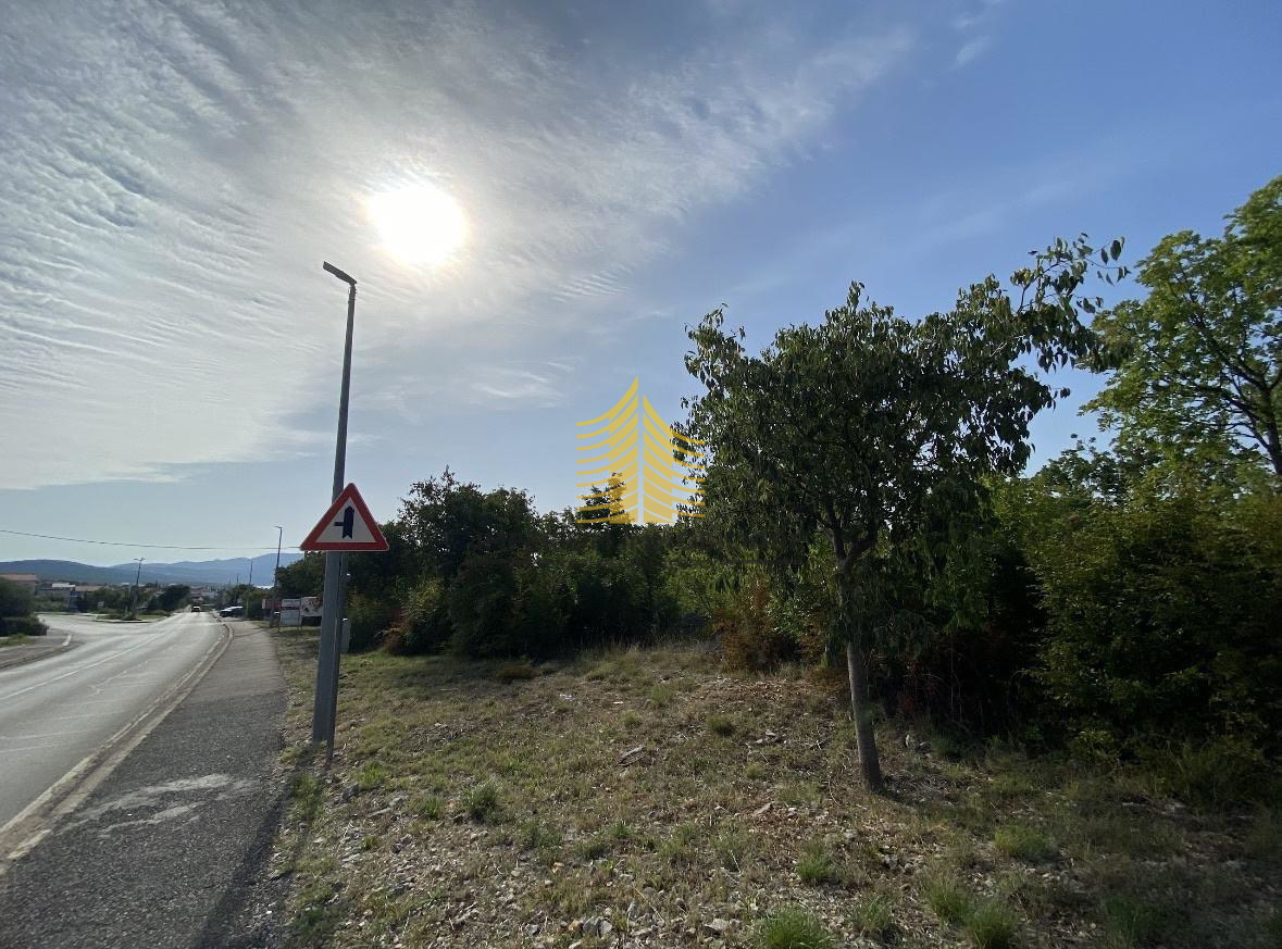JASENICE