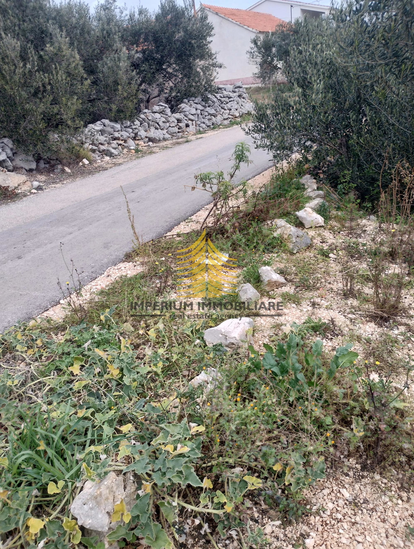 ROGOZNICA