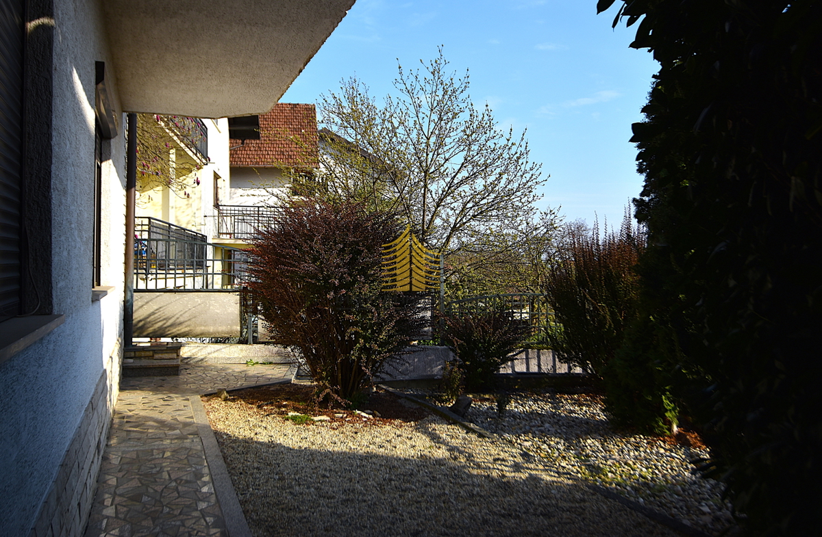 image 23