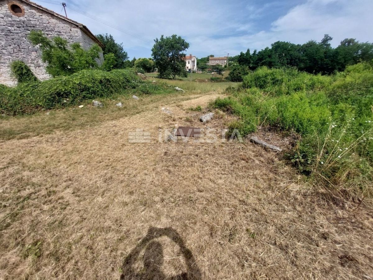 VIŠNJAN