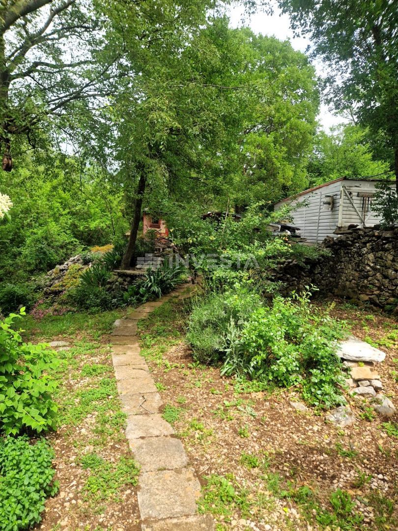 image 17