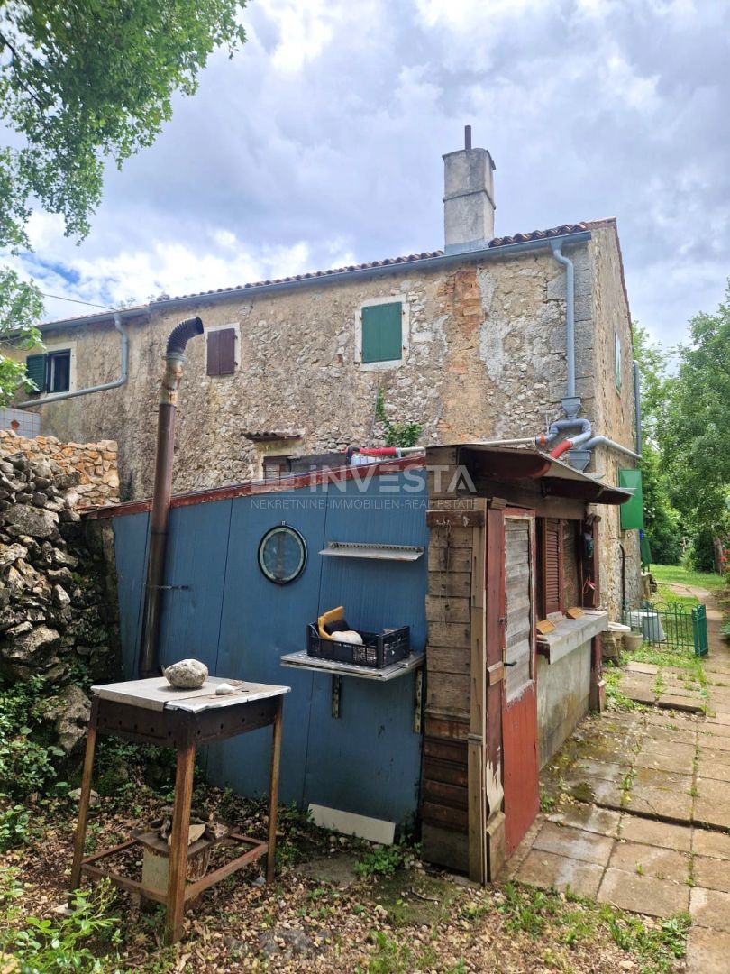 image 15