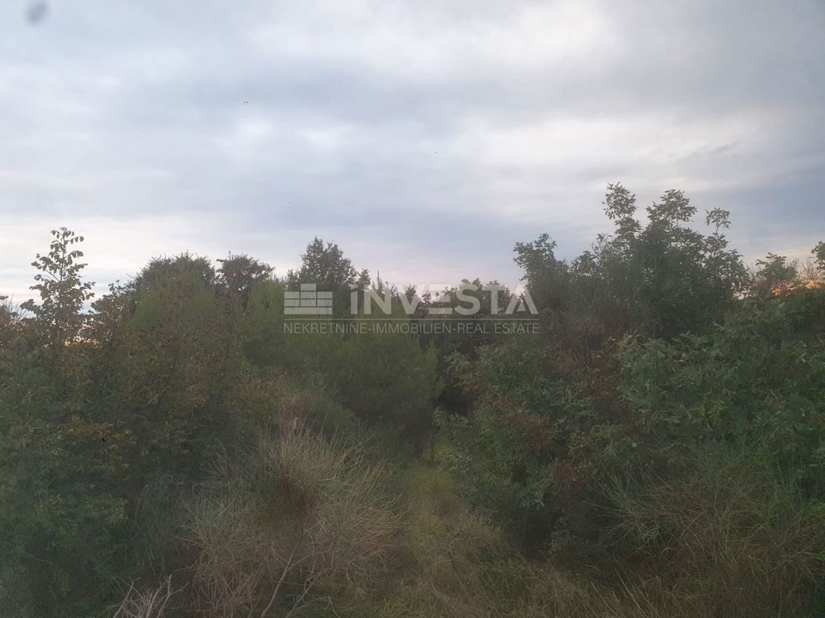 RAKALJ