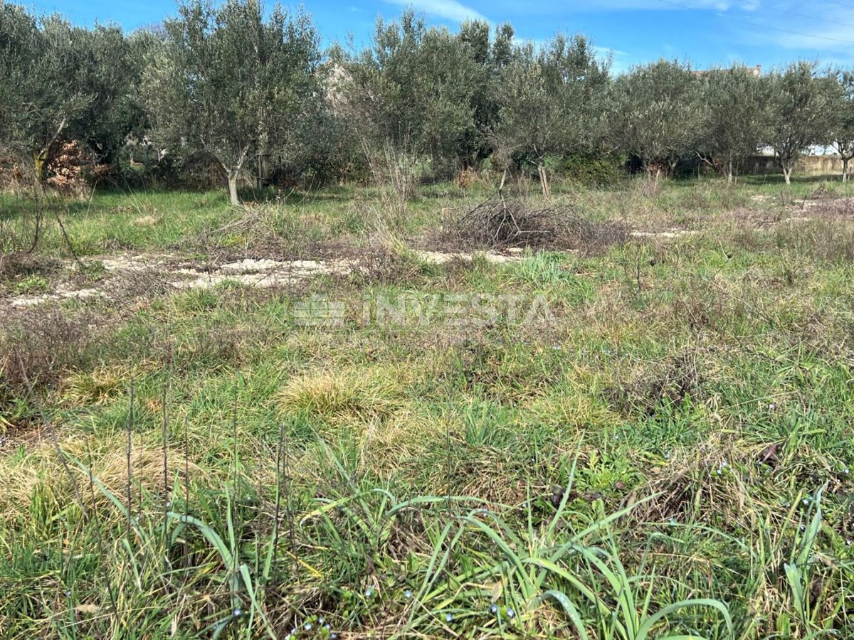 Terreno LIŽNJAN, 64.000 €