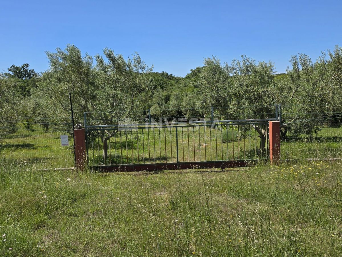 image 18
