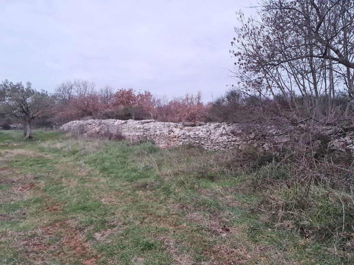 VODNJAN
