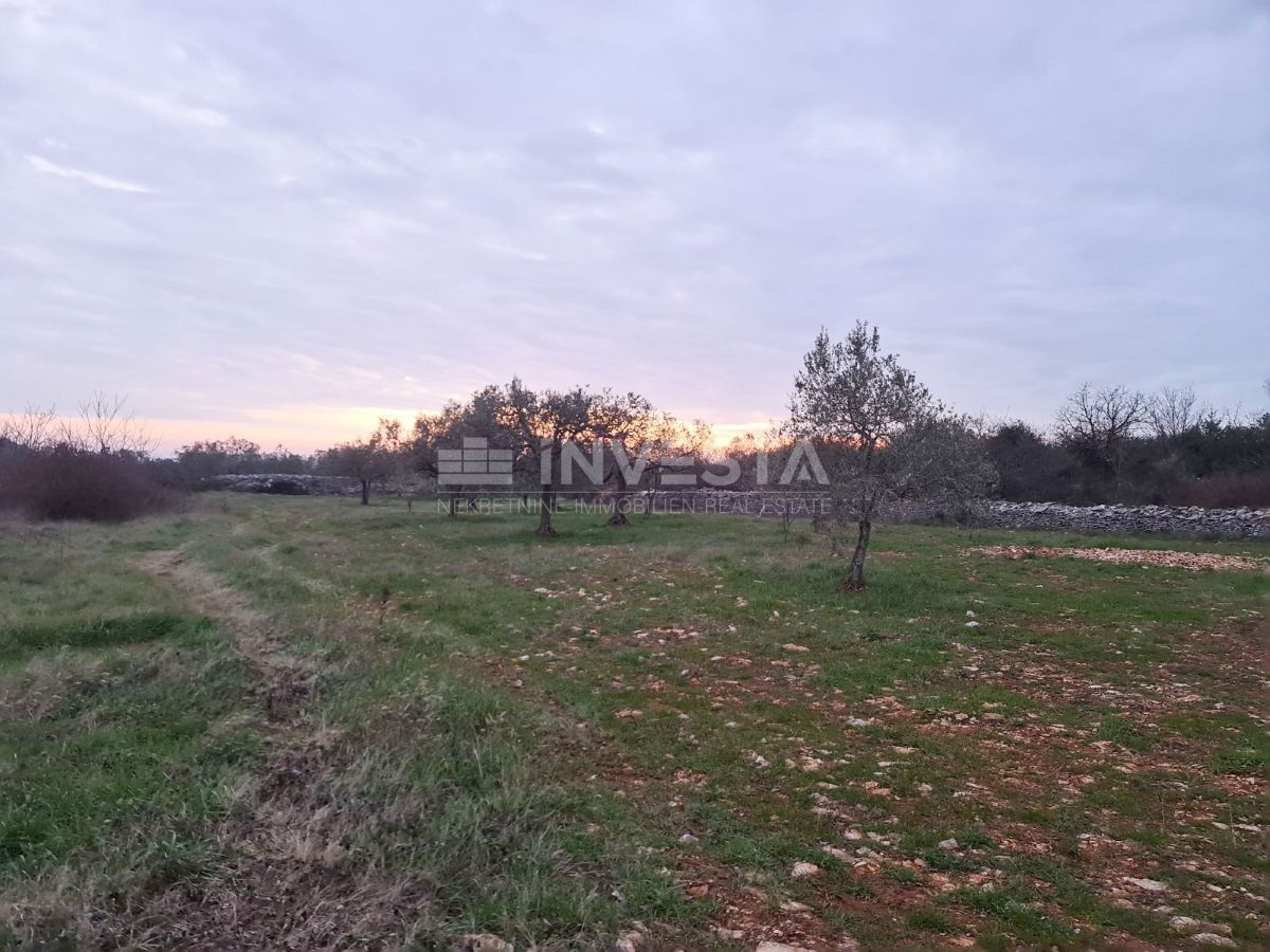 VODNJAN