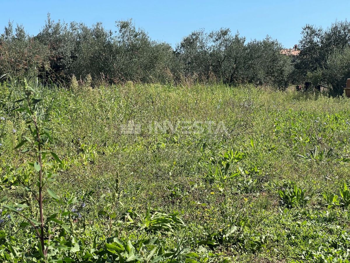 Terreno PULA, 504.000 €