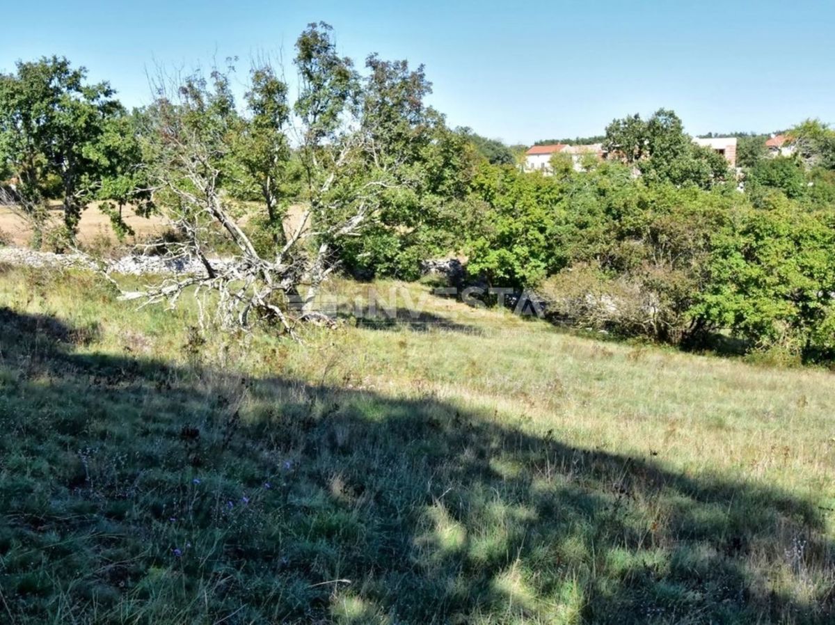 VODNJAN