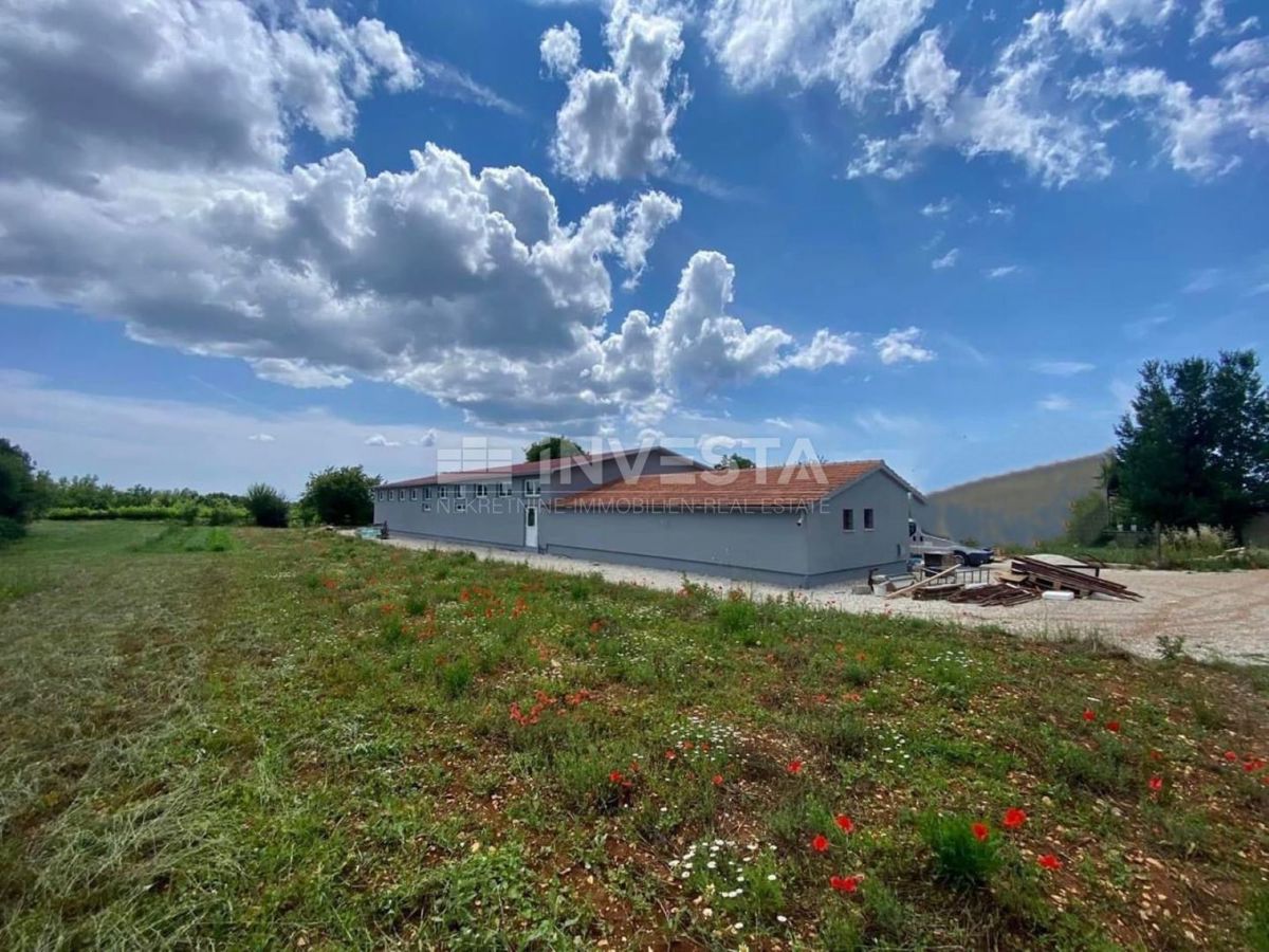 SVETVINČENAT