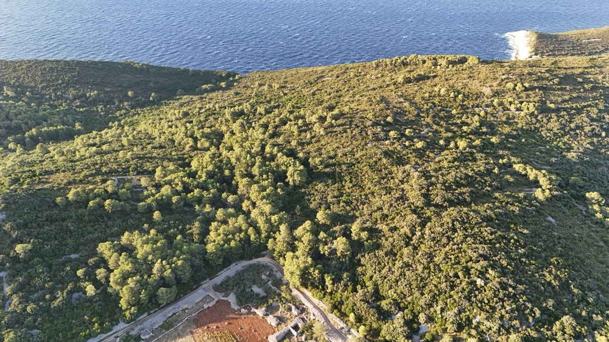 VIS