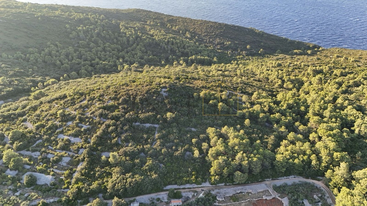 VIS