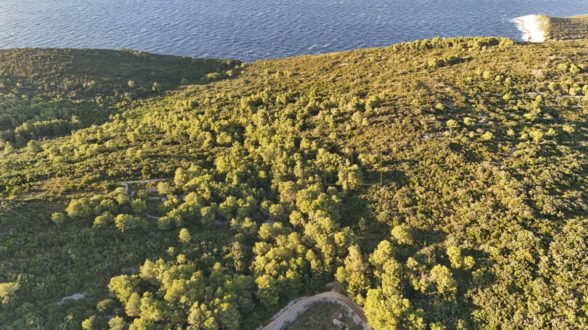 VIS