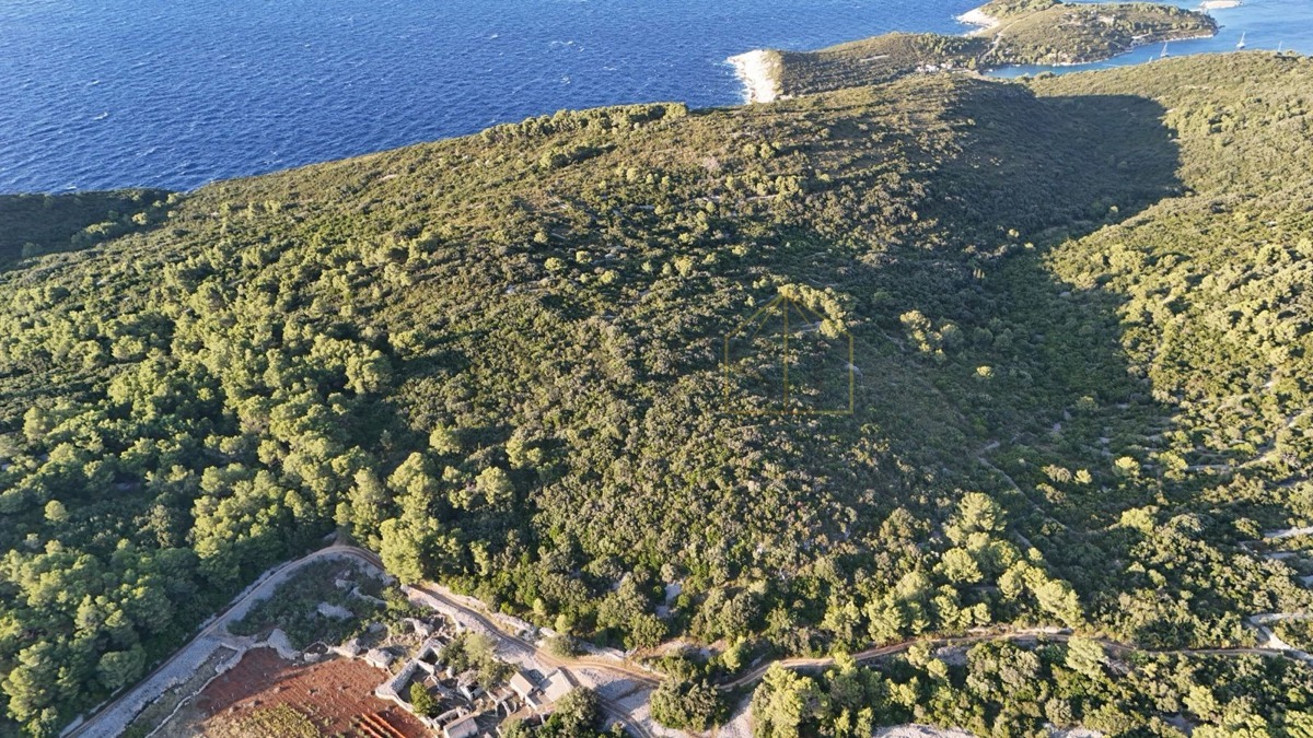 VIS
