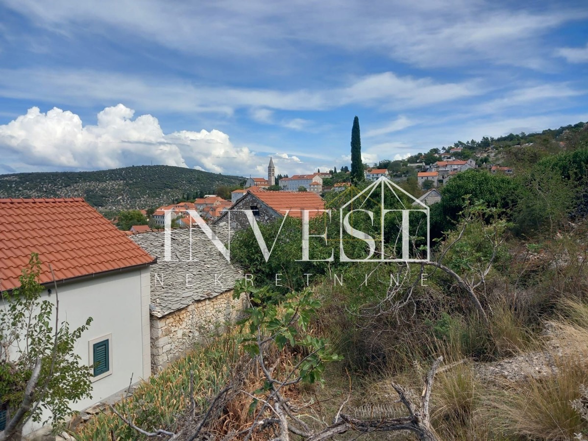 NEREŽIŠĆA