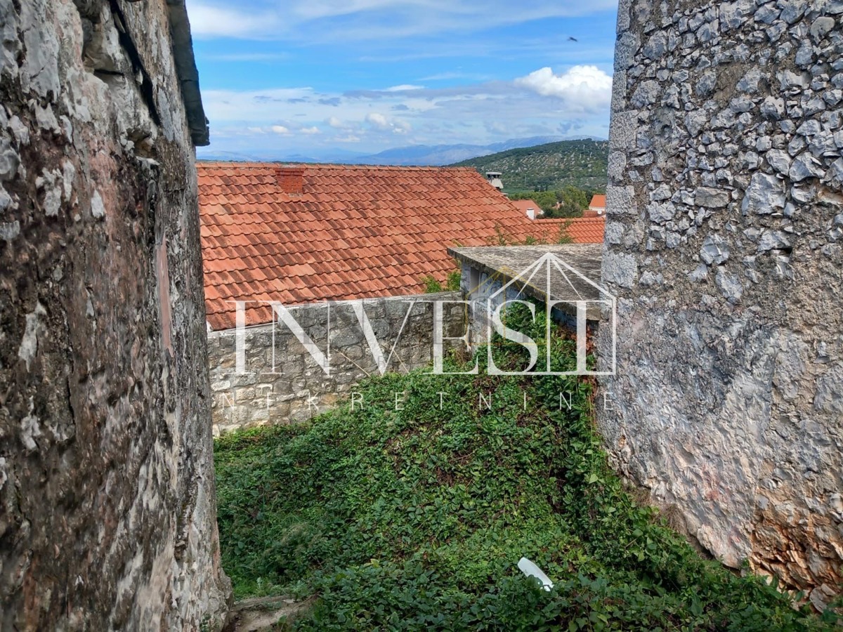 NEREŽIŠĆA