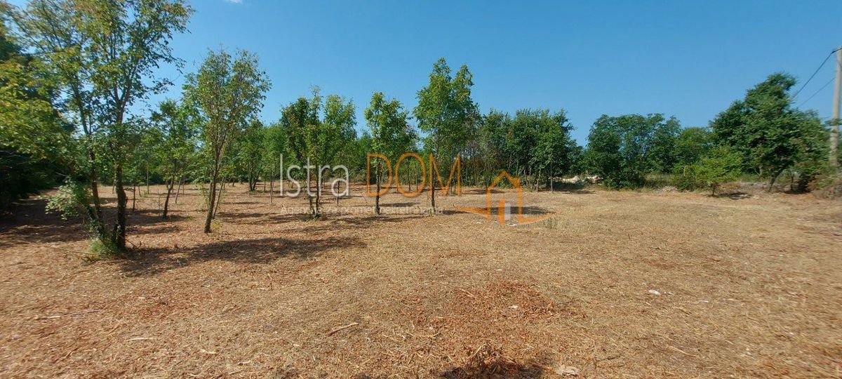 ČABRUNIĆI