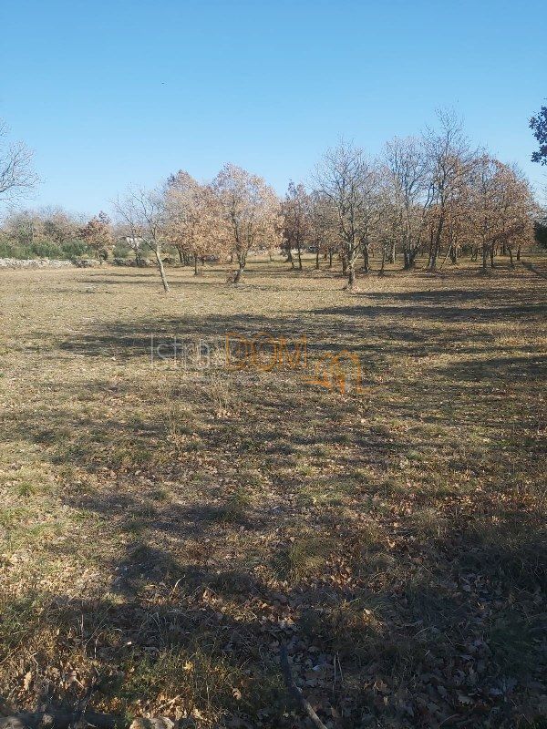 SMOLJANCI