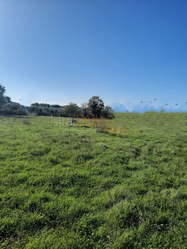 Terreno MEDULIN, 391.500 €