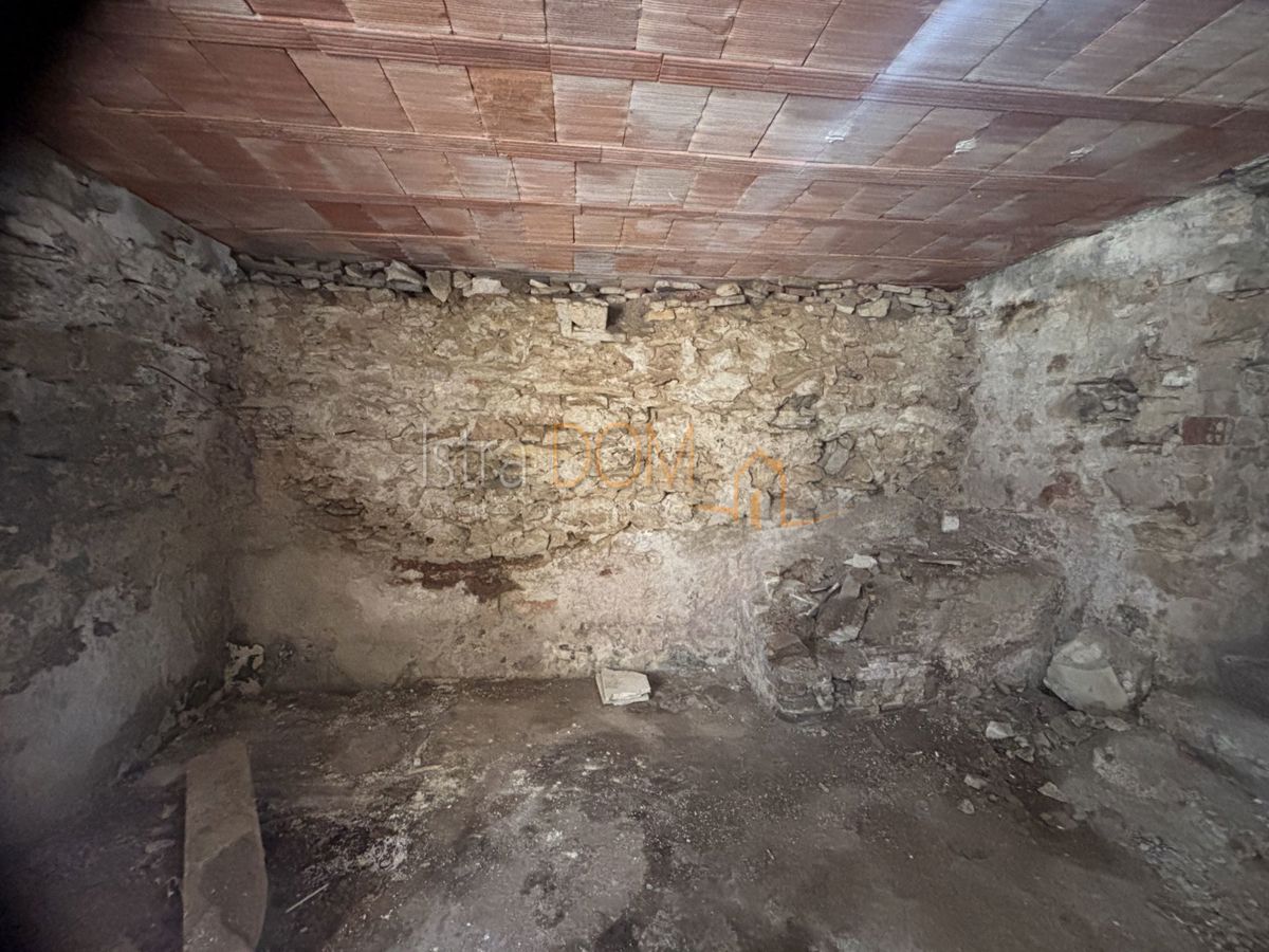 image 13