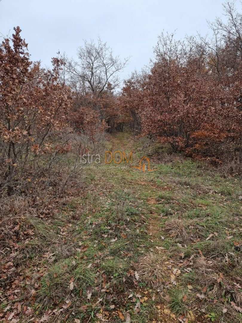 VODNJAN