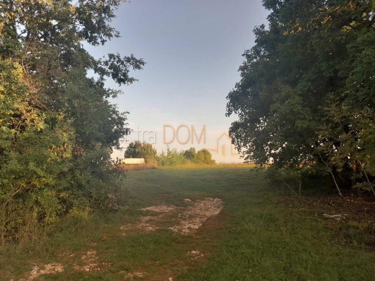 BOKORDIĆI
