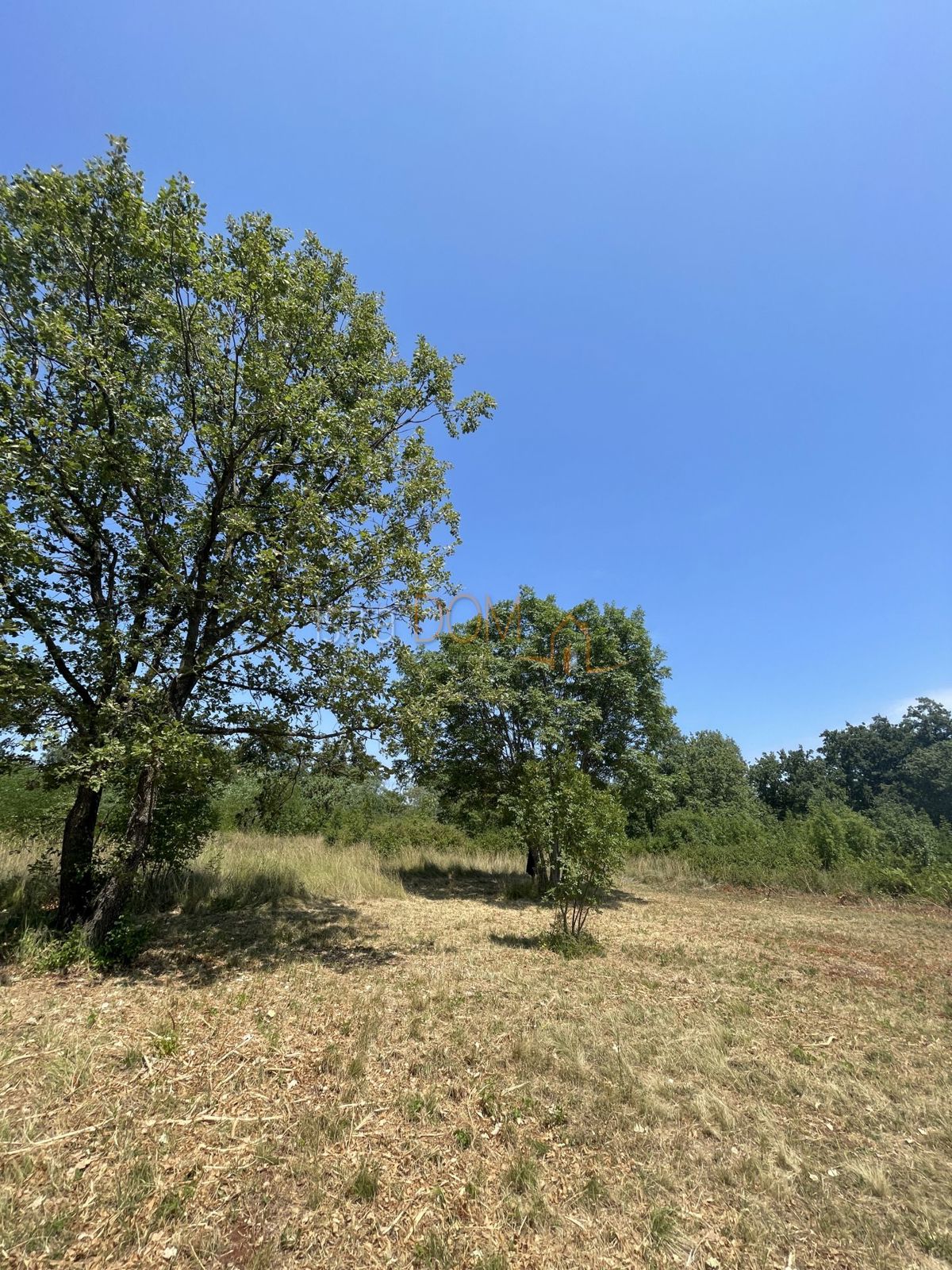 KRNICA
