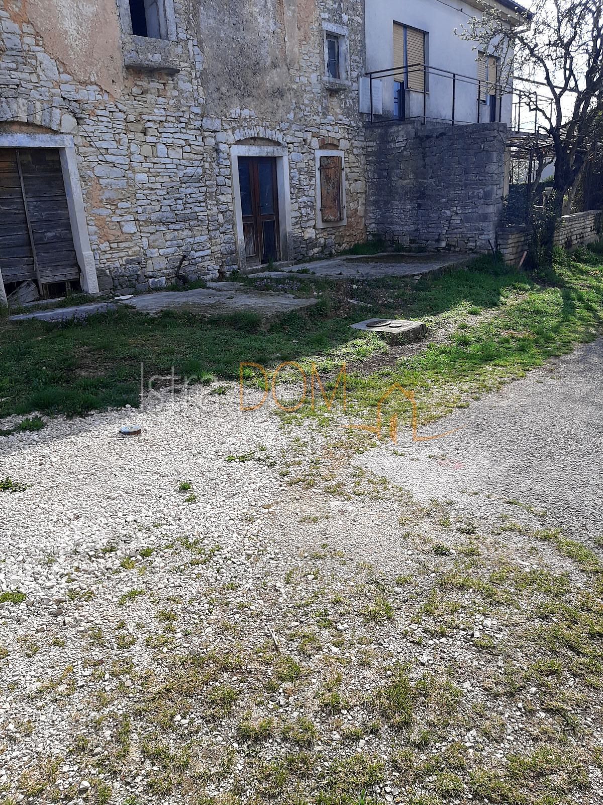ŠAJINI