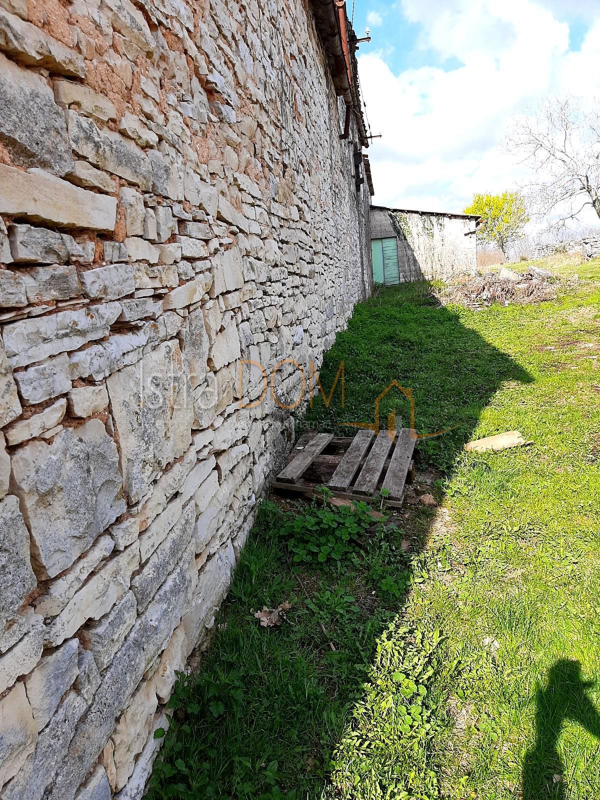 ŠAJINI