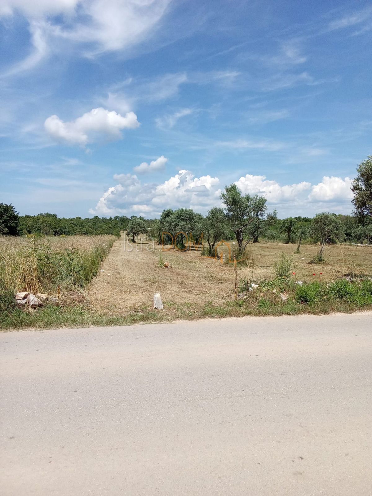 FAŽANA