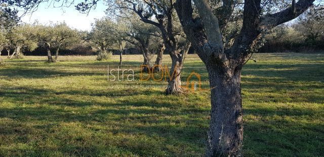 Terreno MARČANA, 65.000 €