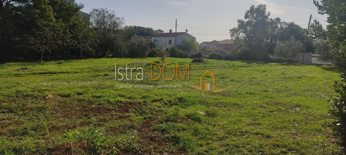 ŠEGOTIĆI