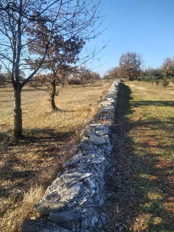 SMOLJANCI