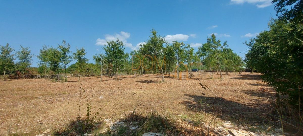 Участок SVETVINČENAT, 75.000 €