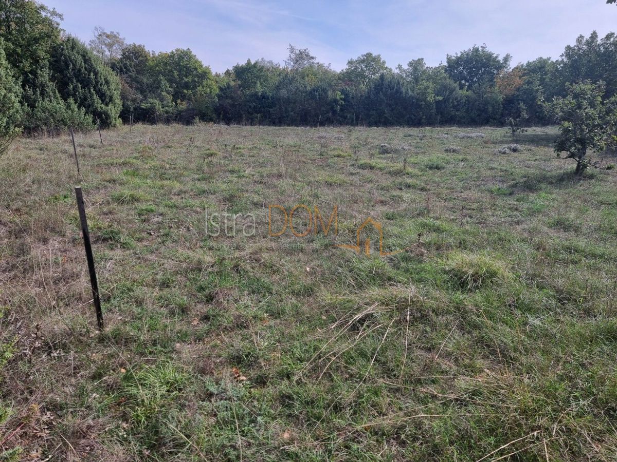 Участок SVETVINČENAT, 65.000 €