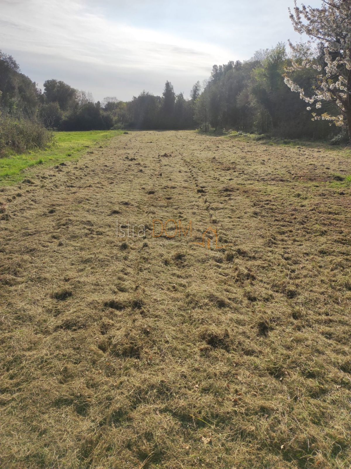 Terreno LIŽNJAN, 12.000 €