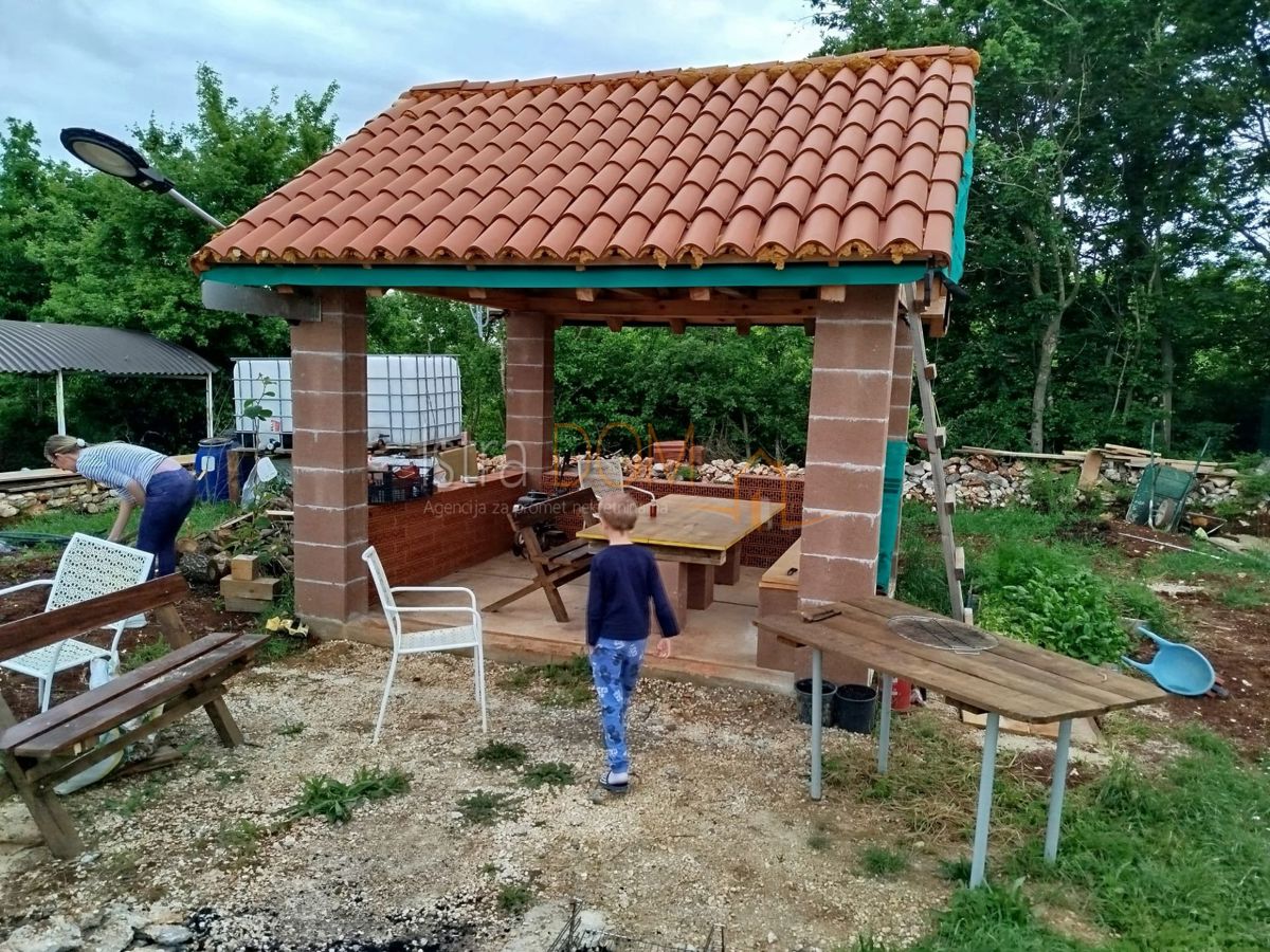 DOMIJANIĆI