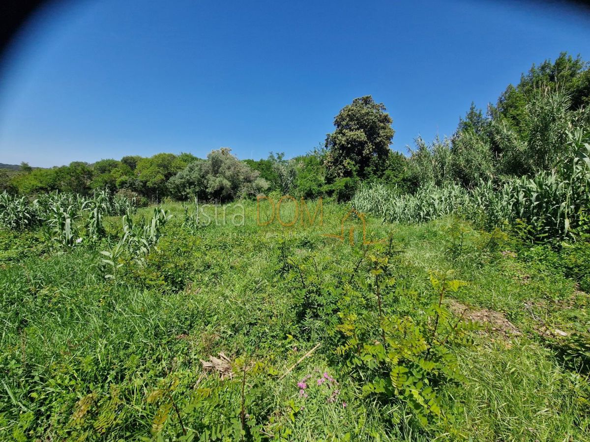 VINKURAN