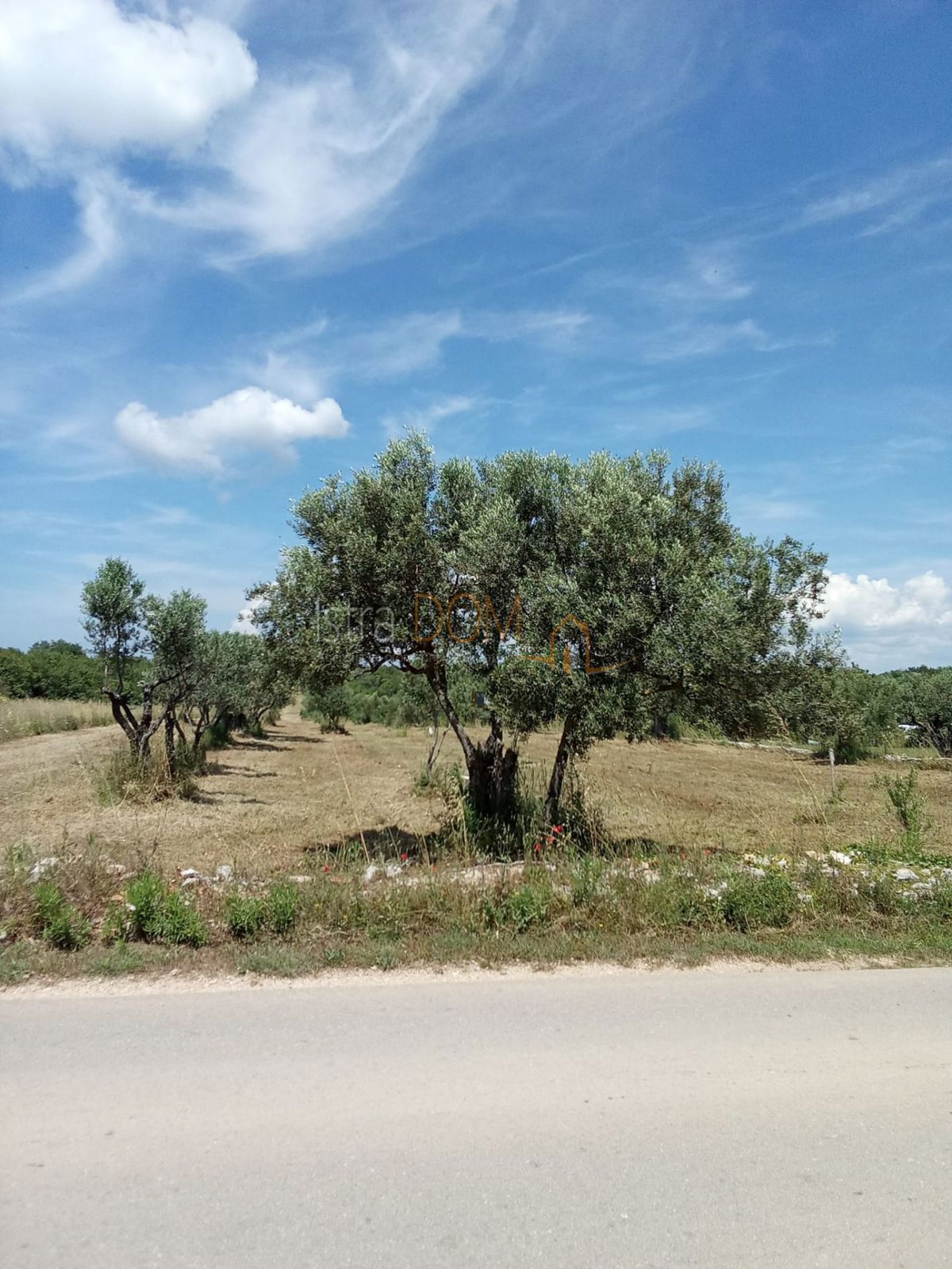 FAŽANA