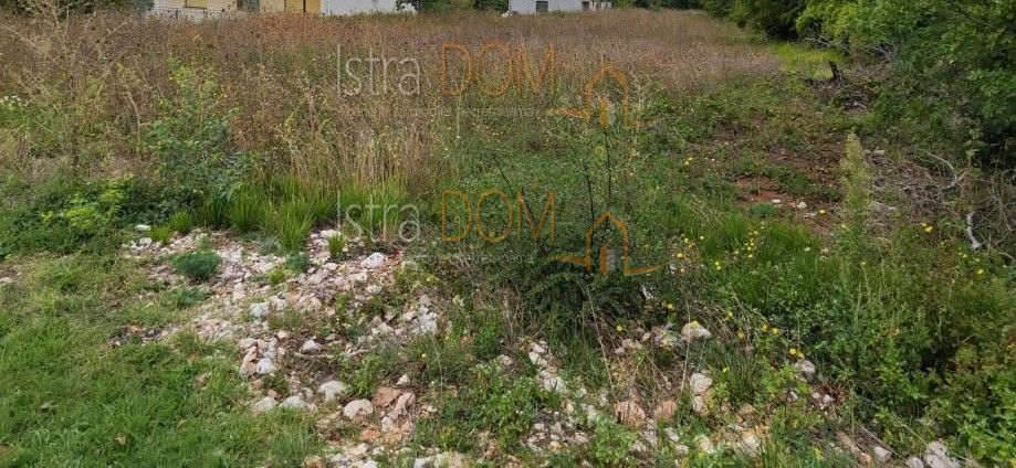 ORBANIĆI