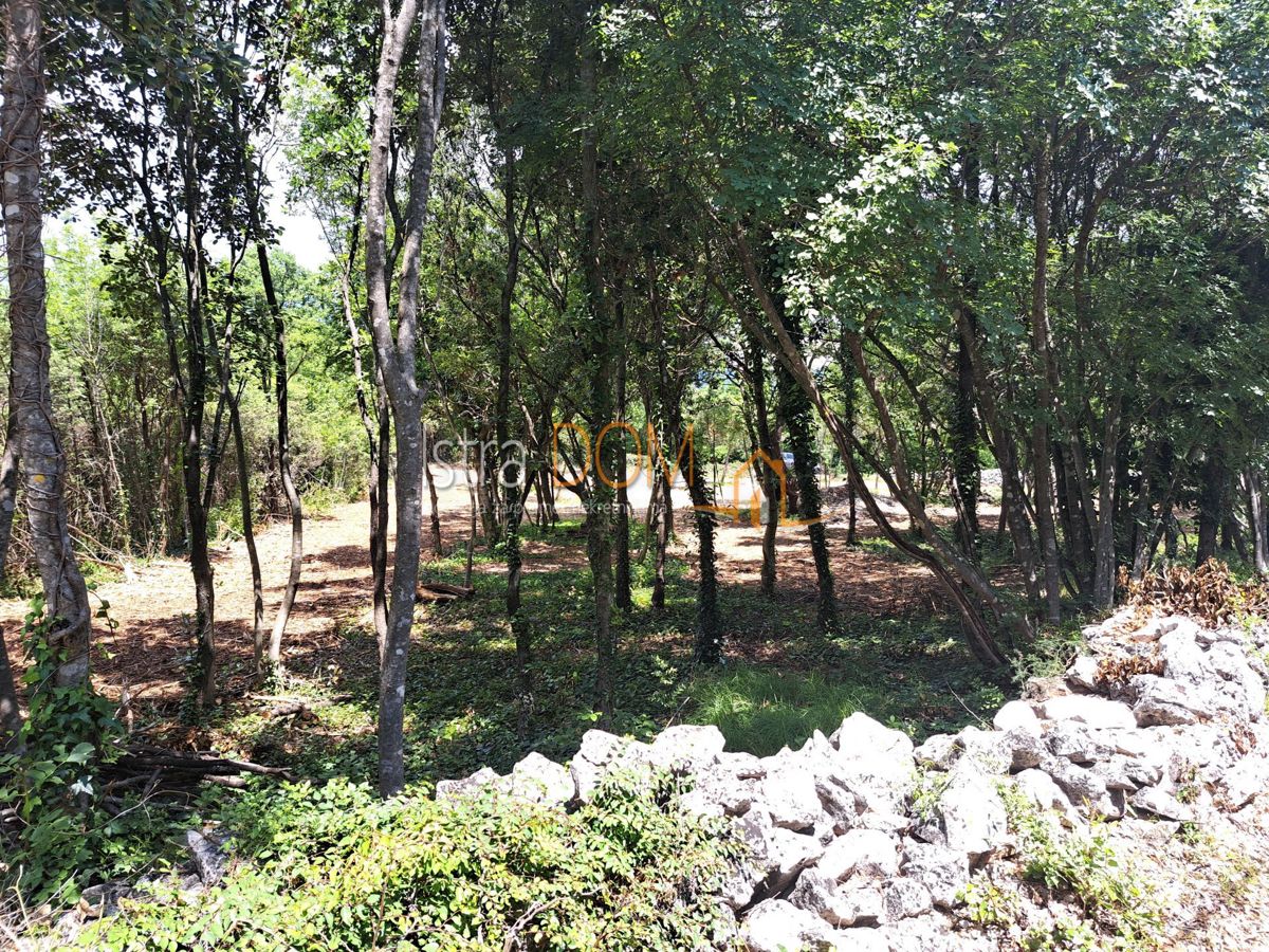 RAKALJ