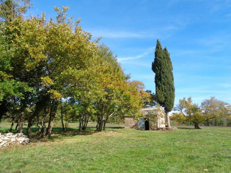 JURIĆI