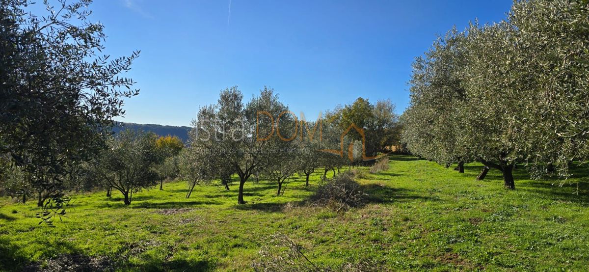 Terreno PIĆAN, 515.000 €