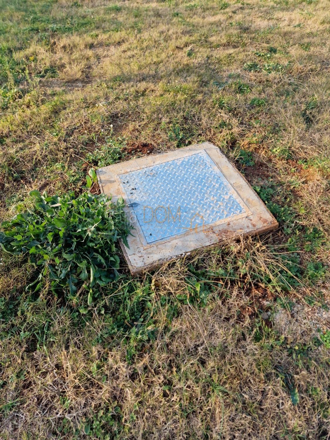 LIŽNJAN