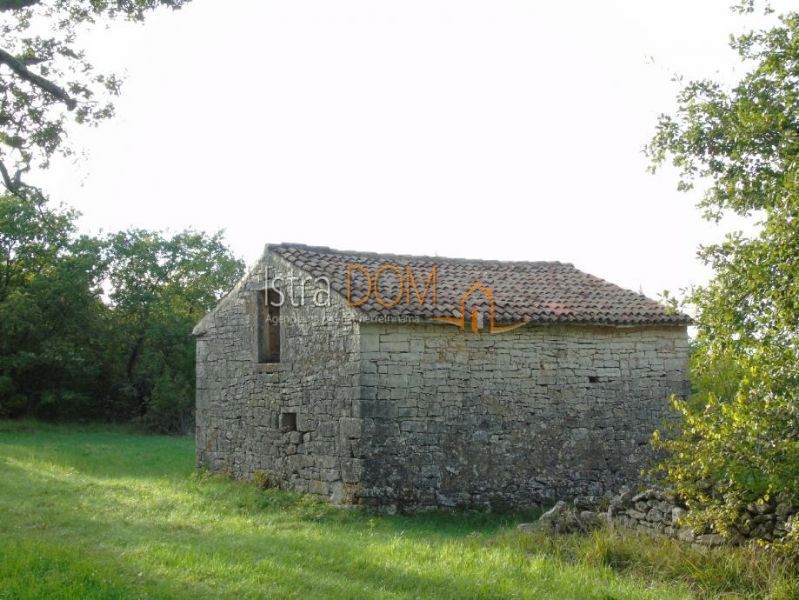 SOŠIĆI