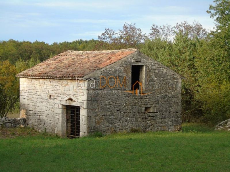 SOŠIĆI