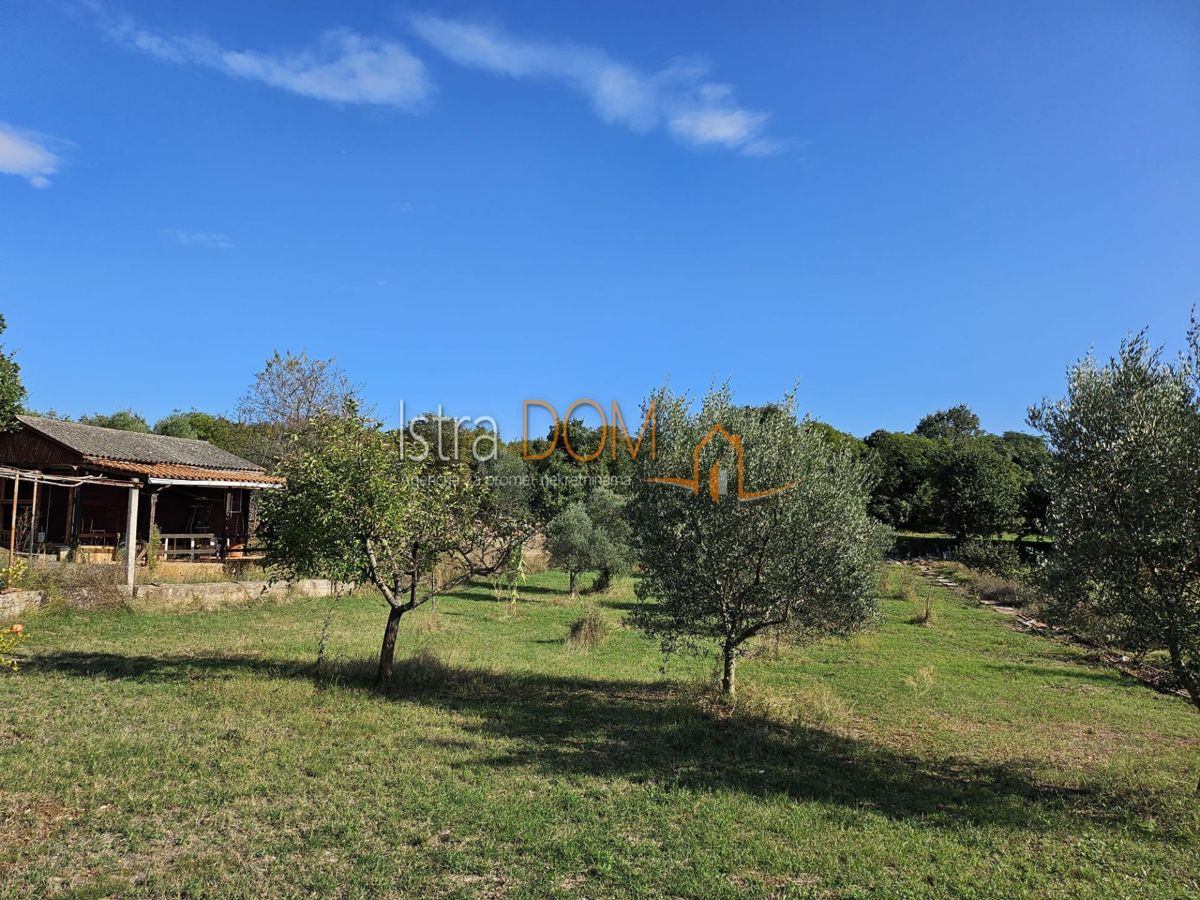 MALI VAREŠKI